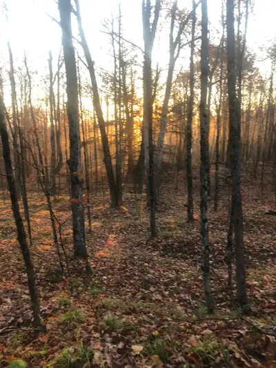 Beautiful treed building between Bobcagyon and Buckhorn . Backs onto 150 acres of crown land . Boat...