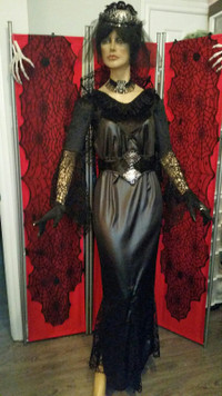 Ladies Black Widow Costume