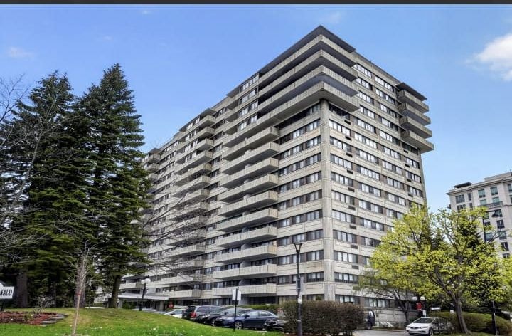 Condo 3 1/2 a louer — photo 1
