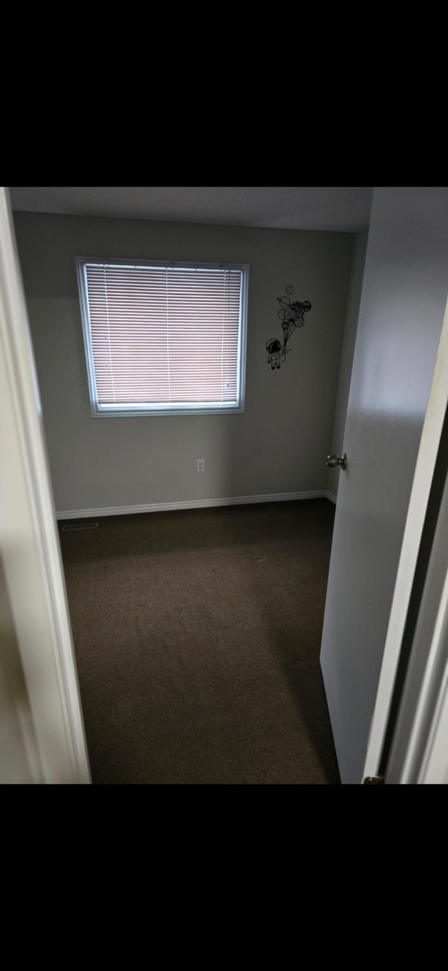 Rooms for rent in Room Rentals & Roommates in London - Image 4