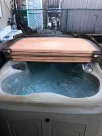 120v Plug and Play Hot Tub