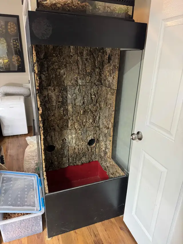 Reptile Enclosure in Reptiles & Amphibians for Rehoming in Kawartha Lakes - Image 2