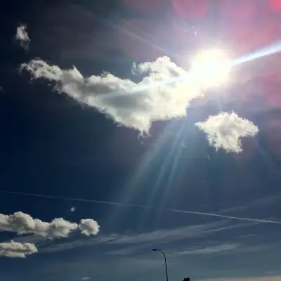 House Cleaning, View more