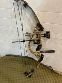Hoyt MT sport compound bow