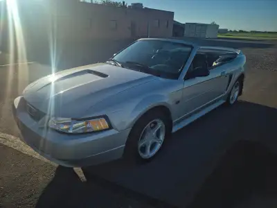 2000 Mustang GT Convertible 5sp for sale in excellent condition inside and out. 83000 mildly driven...