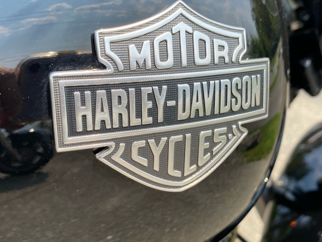 Harley Davidson Softail Slim in Street, Cruisers & Choppers in Kamloops - Image 2