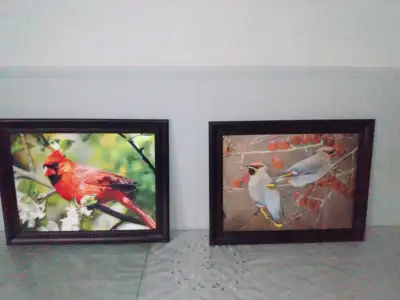 pick up gough avenue and danforth avenue Brand new framed 3D and 4D bird prints in frame. Hard to ca...