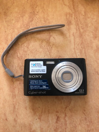 Sony Cybershot DSC W510 Digital Camera