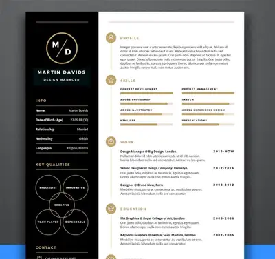 CV Writing & Resume|Professional ATS Resume Writing&cover letter, View more