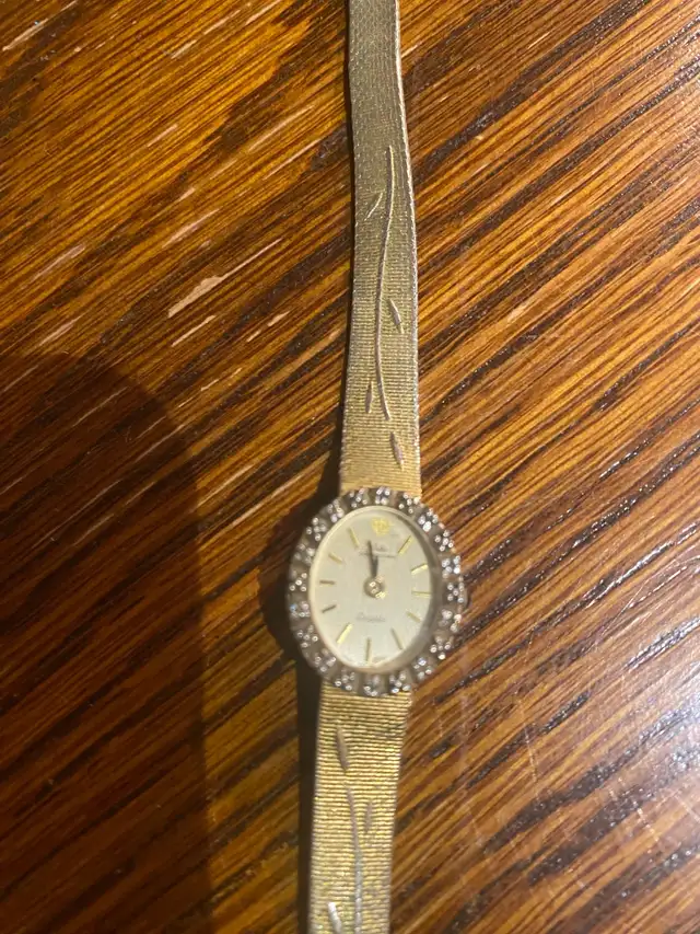 Women’s JULES JURGENSON Genuine Diamond Bezel Good Fille63347540013571121