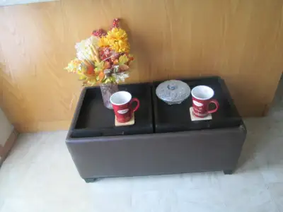 Ottoman with storage or coffee table- (All New), View more