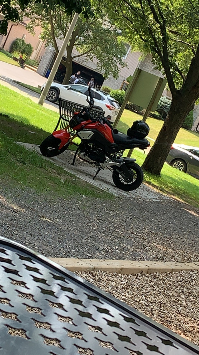 Honda Grom  street bike in Sport Bikes in Hamilton - Image 4