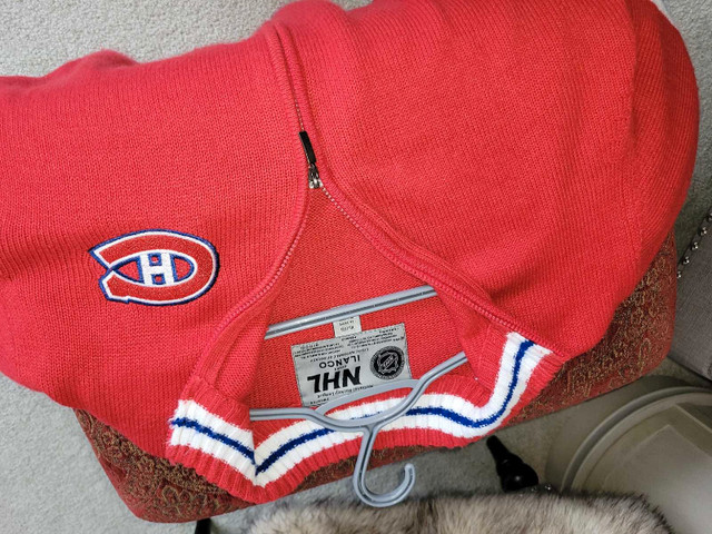 Hockey Zip Sweater in Other in Gatineau