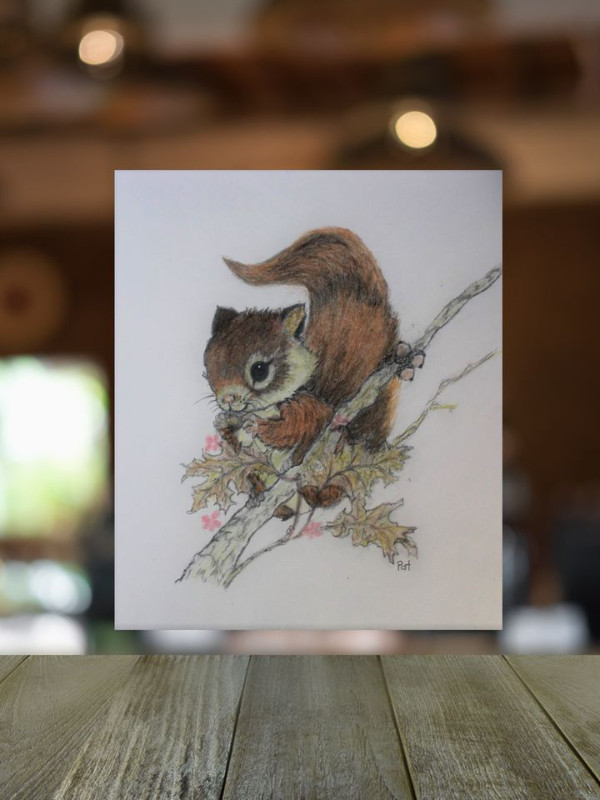 Dessin mignon d’un écureuil, Cute Drawing of a squirrel! dans Art et objets de collection  à Ville de Montréal - Image 2