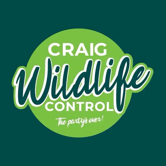 Animal Removal Brampton Mississauga in Other in Mississauga / Peel Region - Image 7