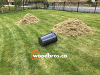 SPRING SPECIAL! Yard Cleanup Lawn Aeration, Power Rake & More 
