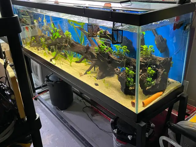 135 gallon aquarium in Accessories in Mississauga / Peel Region - Image 7
