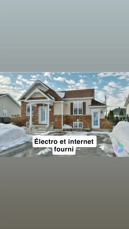 3 1/2 ✅Meublé (cuisinière, frigo, four micro-ondes, lave vaisselle, laveuse, sécheuse, lit queen, ai...