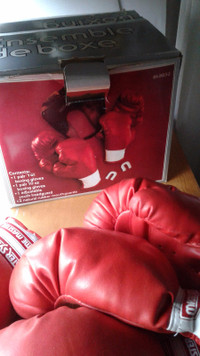Master System Boxing Set Youth vintage