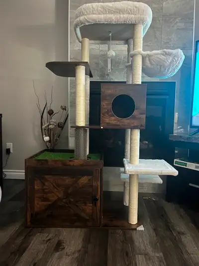 I ordered a cool cat house with various levels stands about 5 feet tall has a built in litter box Pr...
