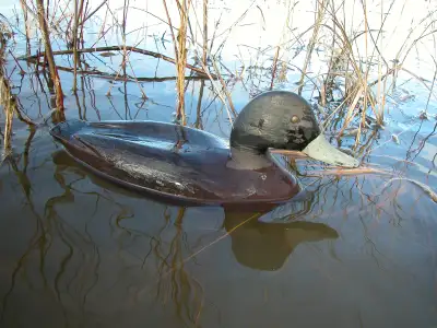 Duck Decoys - 'Blacks', View more