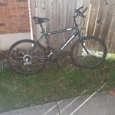 Vintage Men's CCM ICE bicycle, View more