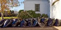 Yard clean up / Dump runs / Junk removal