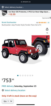 Jeep Bushwhacker fender flares 