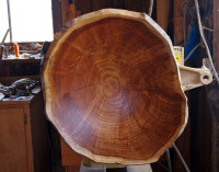 Once Upon A Tree salad bowls and burl bowls