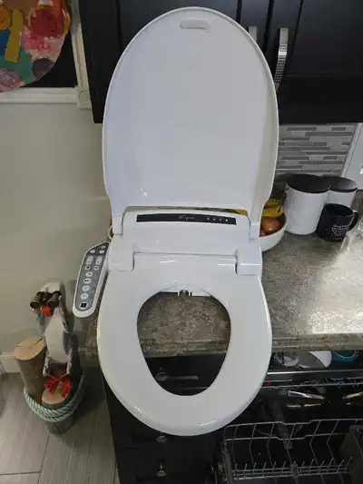 Electric bidet seat, View more