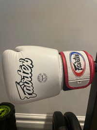 Fairtex boxing gloves BGV1