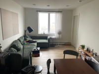 Summer Sublet May-August