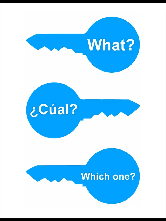 Spanish Lessons65238807913475124