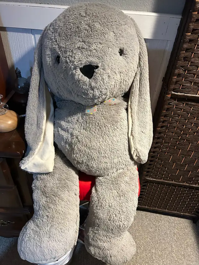 large bunny418857780270878720