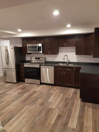 1,000 sq ft 2 bed 1 bath suite - available May 1st