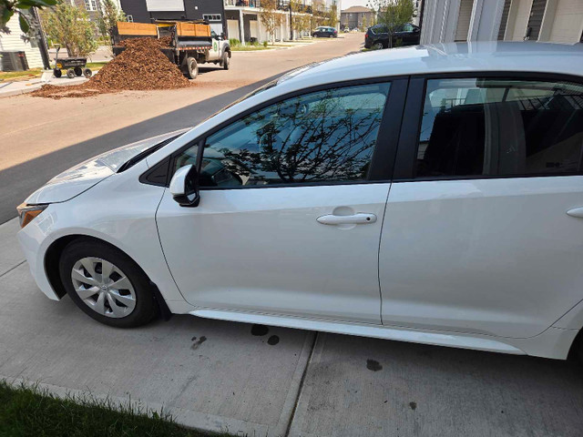 Toyota corolla 2023 L in Cars & Trucks in Calgary