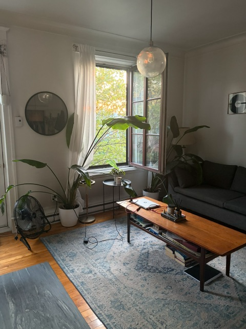 Sunny 3 1/2 for Rent – St-Henri – Available November 1st
