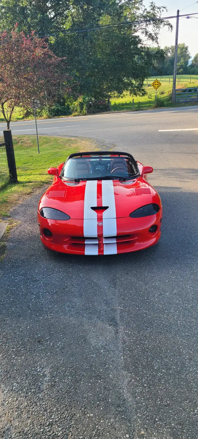 2002 dodge viper rt10583741786733291526