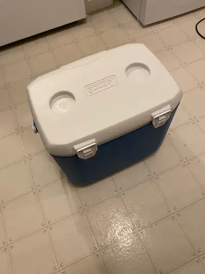 Coleman 28 liter cooler, used only a few times, still in great shape. Can drop off anywhere in HRM.