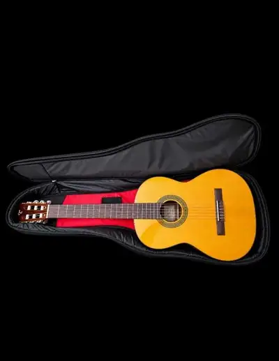 Takamine GC1-NAT nylon-string classical guitar Mint Condition., View more