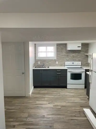 1Bedroom/1Bathroom Basement Suite ***Single occupancy only*** $1300/month Damage Deposit $1300.00 Av...
