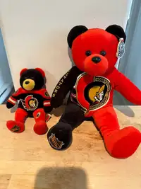Ottawa Senators Team Ice Bears