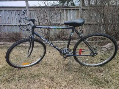 [On Hold] Free Bicycles, View more