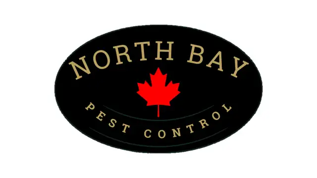 North Bay Pest Control – ⭐⭐⭐⭐⭐ Fast, Reliable Pest Removal62863248013699120