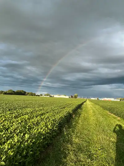 Single professional male looking for country house to rent in the Lucan/Exeter/Clinton corridor.