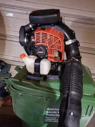 Echo Backpack Blower, View more