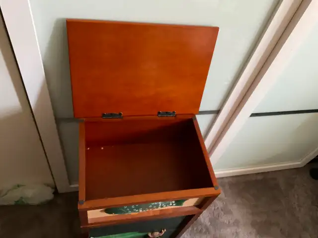 Vintage Fishing Man Motif Accent Cabinet in Bookcases & Shelving Units in Edmonton - Image 4
