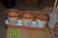 Flower pots and tray