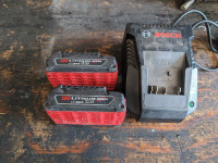 BOSCH batteries, charger & case