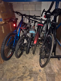 Bicycles For Sale | Huge Variety Available In Different Sizes